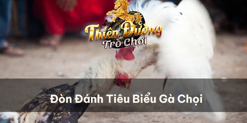 Các lời khuyên hữu ích khi tham gia Xổ Số TDTC